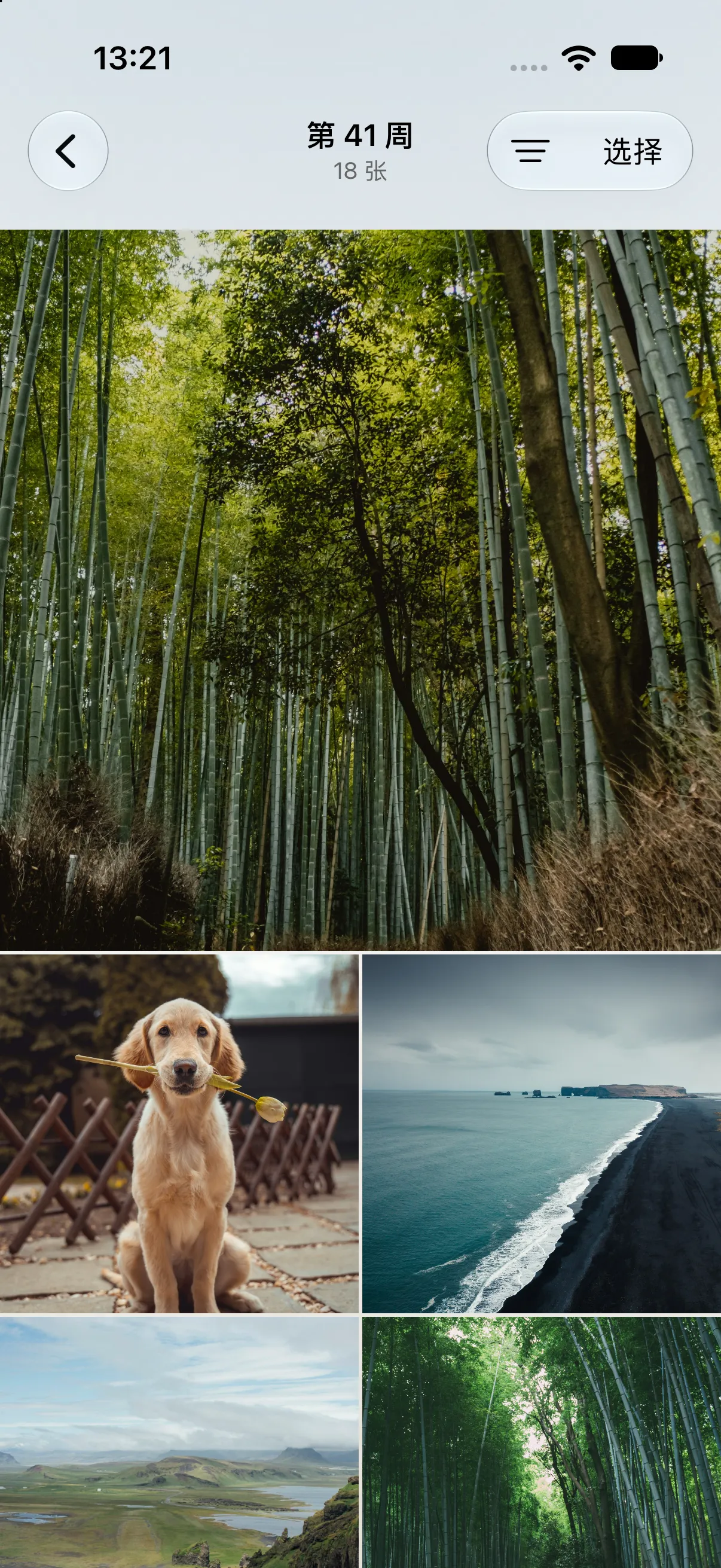 A real Recap weekly photo grid showing a bamboo forest, a dog, a coastline, and hills.